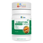 Kedi Healthcare Golden Hypha